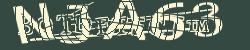 CAPTCHA security image