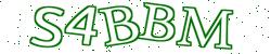 CAPTCHA security image