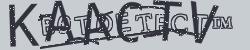 CAPTCHA security image