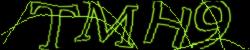 CAPTCHA security image